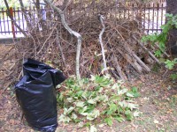 /album/fotogaleria/dscf2553-jpg/