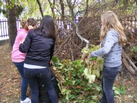 /album/fotogaleria/dscf2554-jpg/